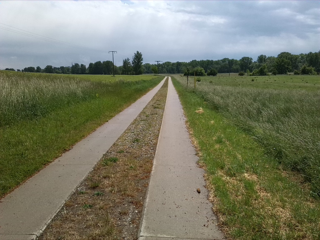 27a-Neugattersleben Blick Von Radelsberg Nach Süden In Bodeaue Bis Nienburg (1)