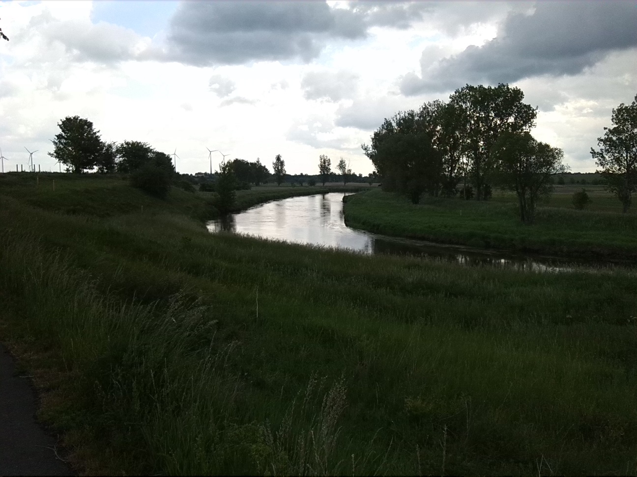 2a-Stassfurt-Bodeaue zwischen Stassfurt & Hohenerxleben Blick Nach Osten (2)