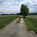 30a-Bodeaue Zwischen Neugattersleben & Nienburg Blick Nach Südosten (1)