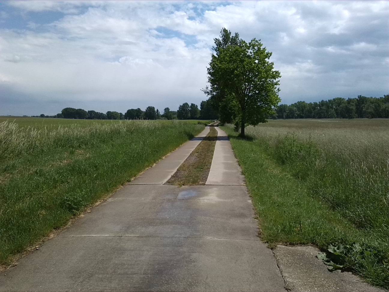 30a-Bodeaue Zwischen Neugattersleben & Nienburg Blick Nach Südosten (1)