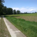 32a-Bodeaue Zwischen Neugattersleben & Nienburg Blick Nach Nordwesten In Richtung Neugattersleben (1)