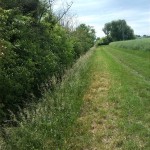 32a-Weg Südlich Ziethe & Südwestlich Von Zehringer Busch Blick Nach Süden (1)