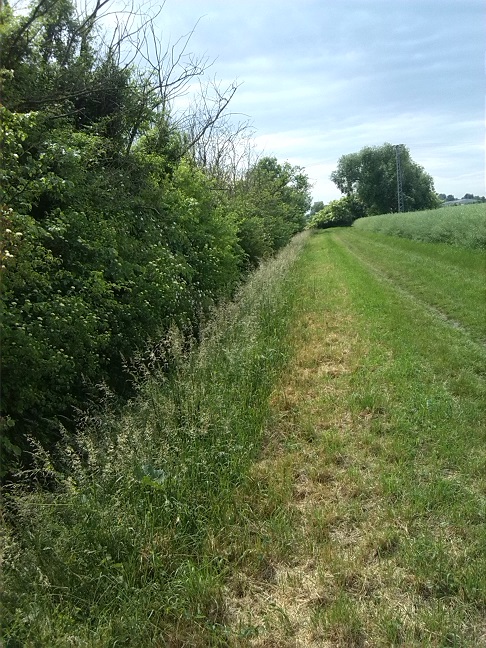 32a-Weg Südlich Ziethe & Südwestlich Von Zehringer Busch Blick Nach Süden (1)