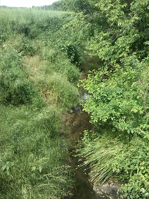 34a-Übergang Ziethewestlich Zehringer Busch Blick Ziethe Aufwärts Nach Südosten (1)