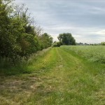 36a-Weg Südlich Ziethe & Südwestlich Von Zehringer Busch Blick Nach Süden (1)