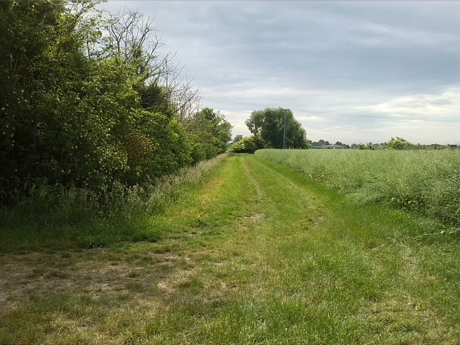 36a-Weg Südlich Ziethe & Südwestlich Von Zehringer Busch Blick Nach Süden (1)