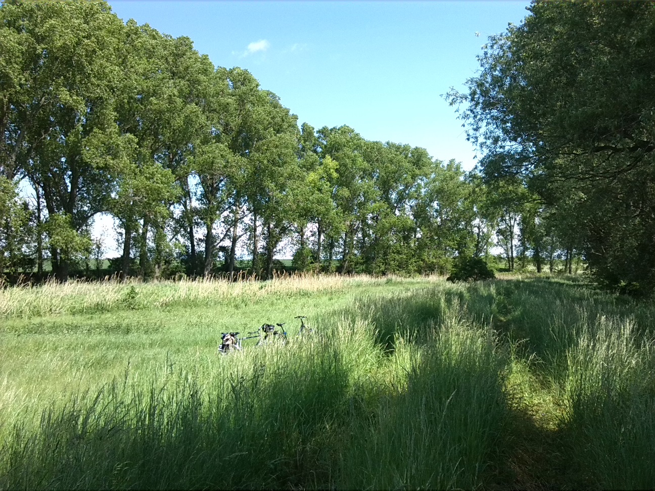 37a-Bodeaue Zwischen Neugattersleben & Nienburg Blick Nach Nordosten In Richtung Nienburg (2)