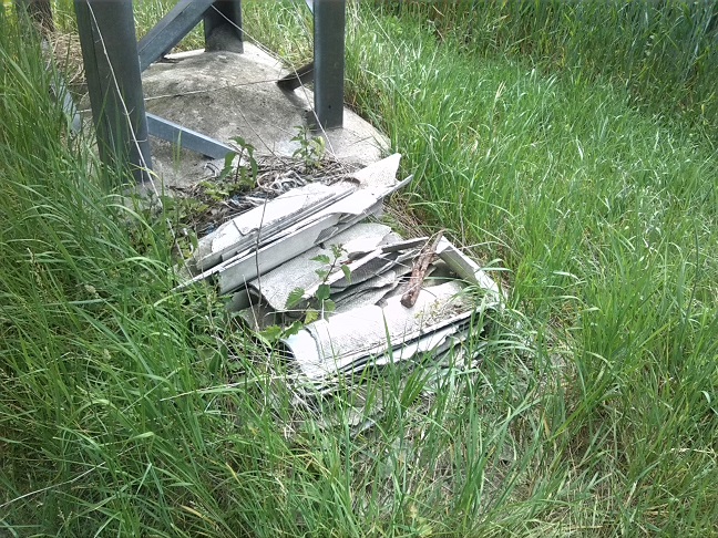 38a-Weg Südlich Ostteil Zehringer Busch Unweit Straße Der Freundschaft (2)
