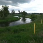 3a-Stassfurt-Bodeaue zwischen Stassfurt & Hohenerxleben Blick Nach Südwesten (3)