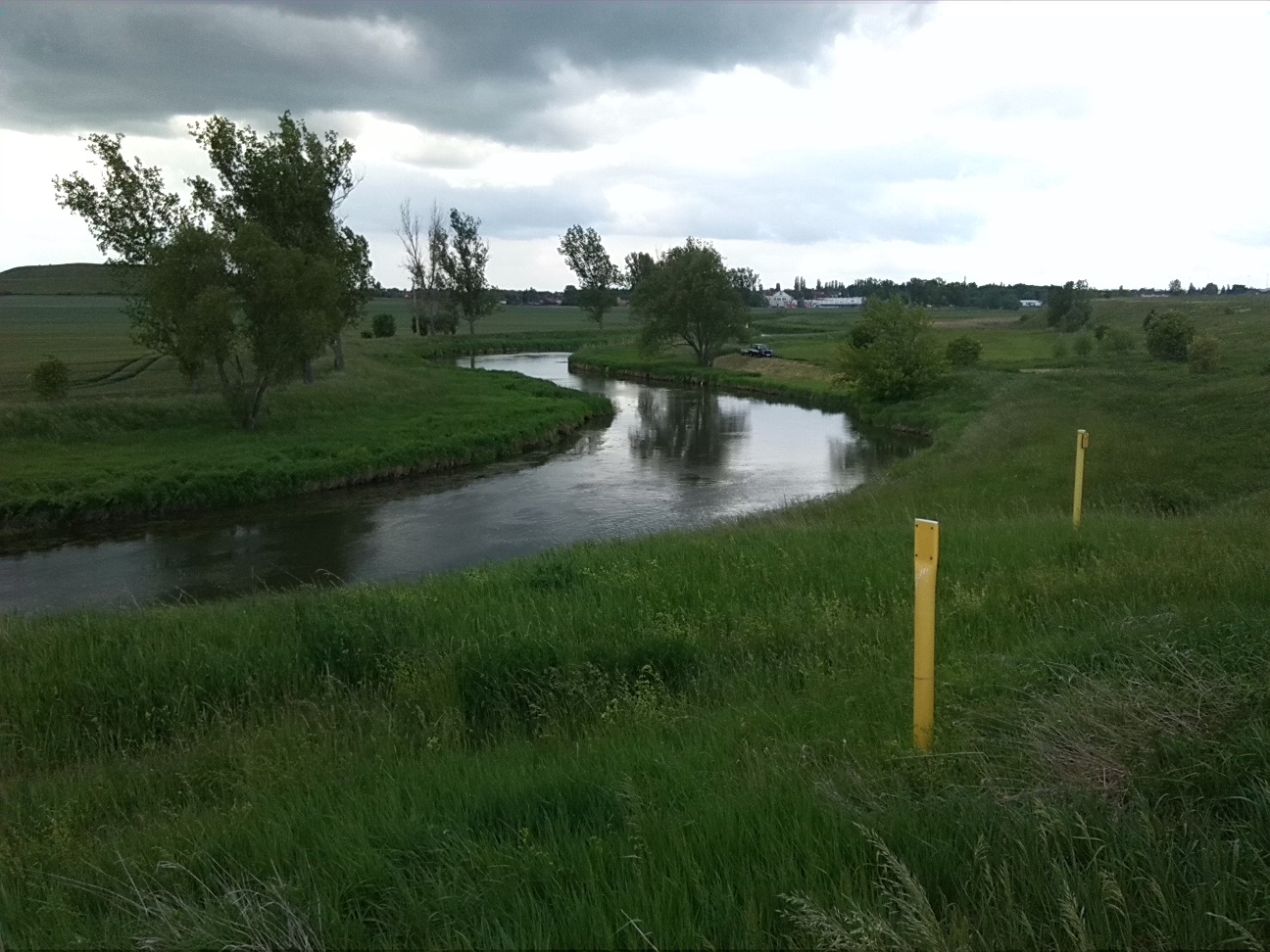 3a-Stassfurt-Bodeaue zwischen Stassfurt & Hohenerxleben Blick Nach Südwesten (3)