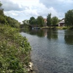 43a-Nienburg Einmündung Bode IN Saale Blick Bodeaufwärts Nach Südosten (1)