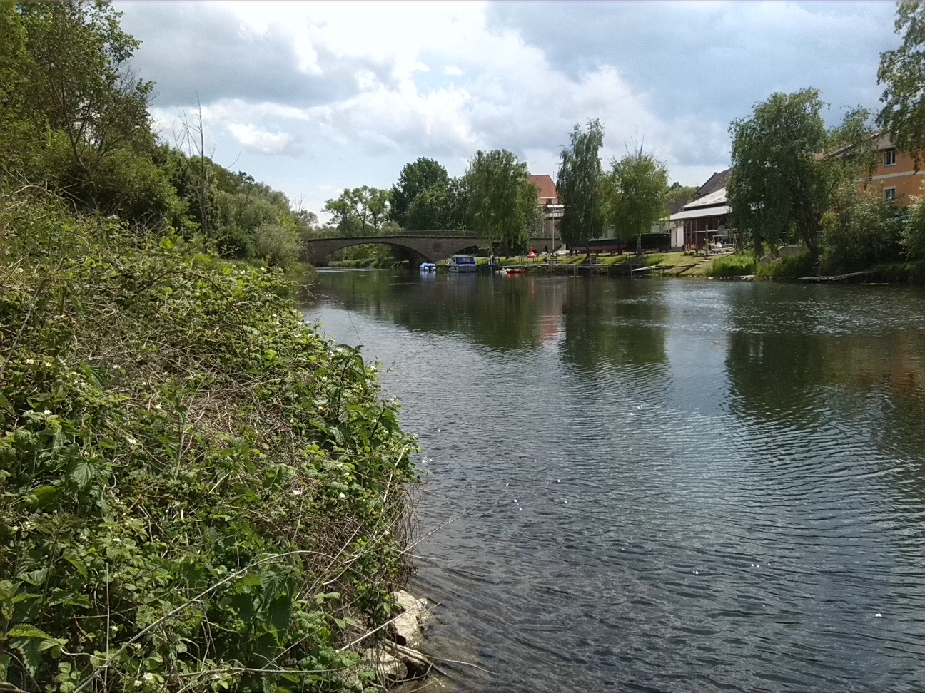 43a-Nienburg Einmündung Bode IN Saale Blick Bodeaufwärts Nach Südosten (1)