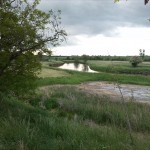 4a-Stassfurt-Bodeaue zwischen Stassfurt & Hohenerxleben Blick Nach Südosten (3)