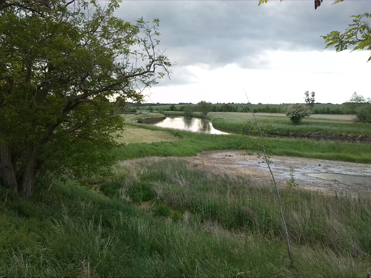 4a-Stassfurt-Bodeaue zwischen Stassfurt & Hohenerxleben Blick Nach Südosten (3)