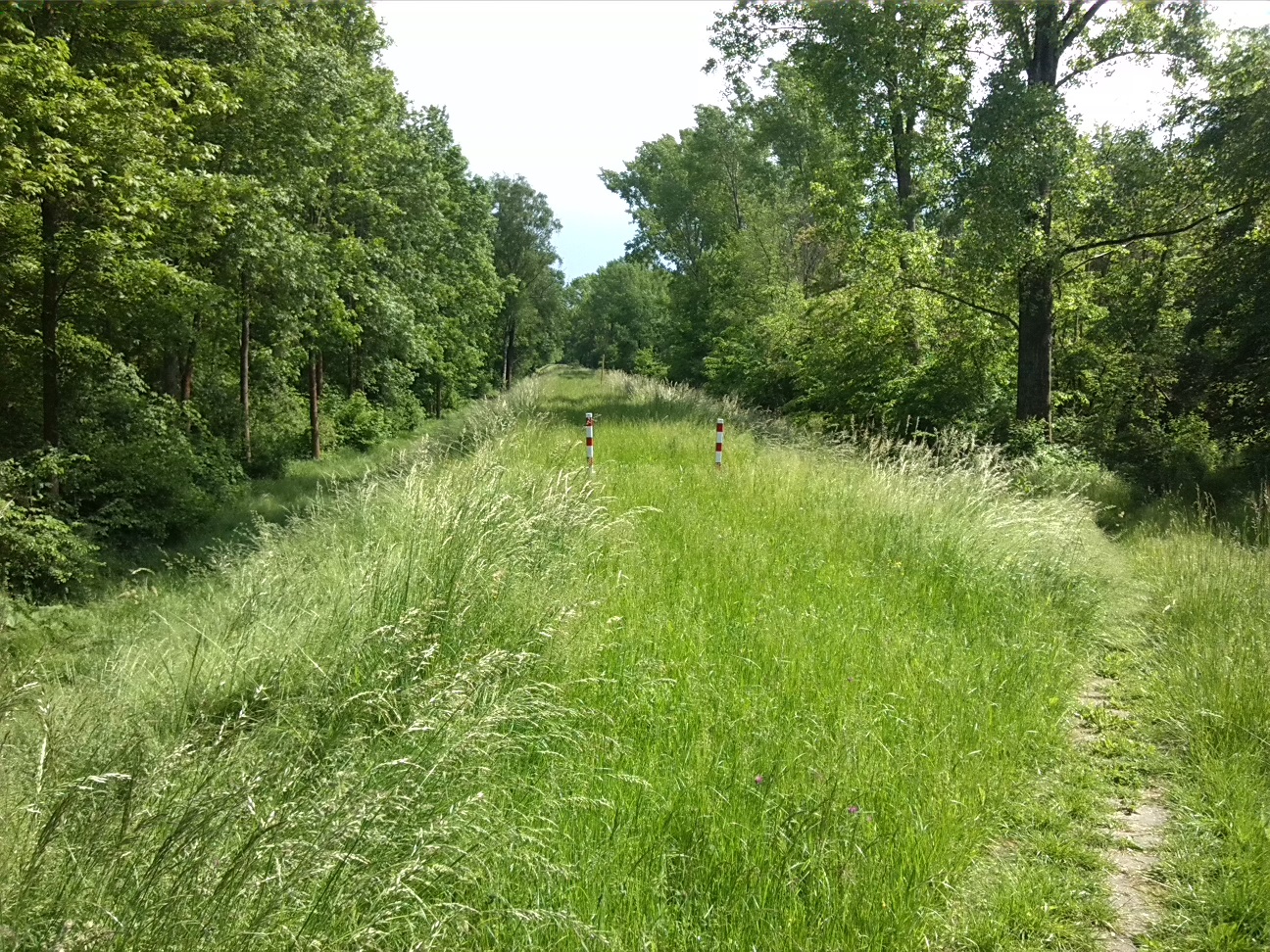 57a-Sprohne Deich Blick Nach Südosten (1)