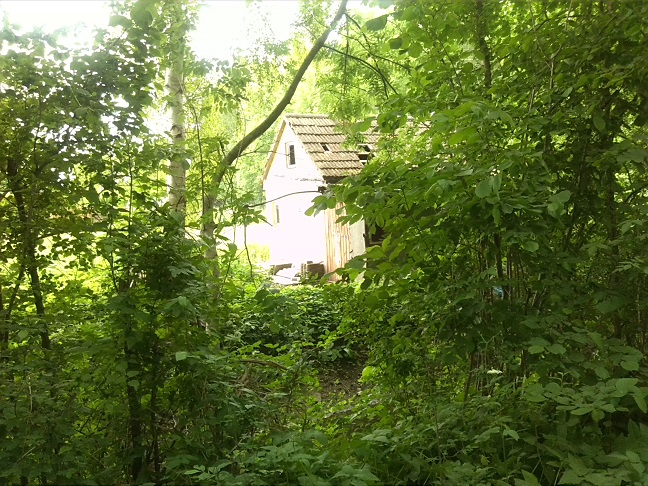 5a-Nordostzipfel Ziethebusch Blick Nach Nordosten Zu Kleingarten (1)