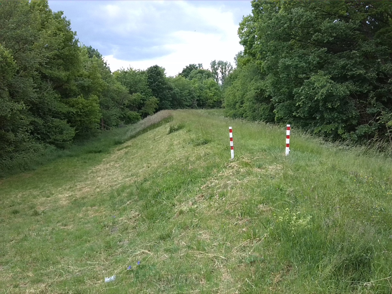 67a-Sprohne Ostteil Deich Blick Nach Nordwesten (2)