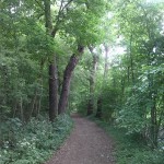 6a-Nordostzipfel Ziethebusch Blick Nach Westen (1)