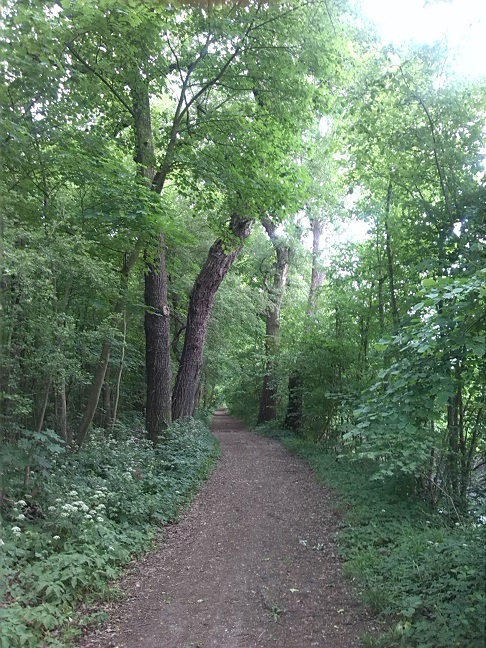 6a-Nordostzipfel Ziethebusch Blick Nach Westen (1)
