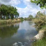 6a-Stassfurt-Bodeaue zwischen Stassfurt & Hohenerxleben Blick Nach Westen (1)