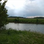 73a-Saaleaue Zwischen Nienburg & Bernburg Blick Nach Südwesten Zum Dröbelschen Busch & B6n (1)