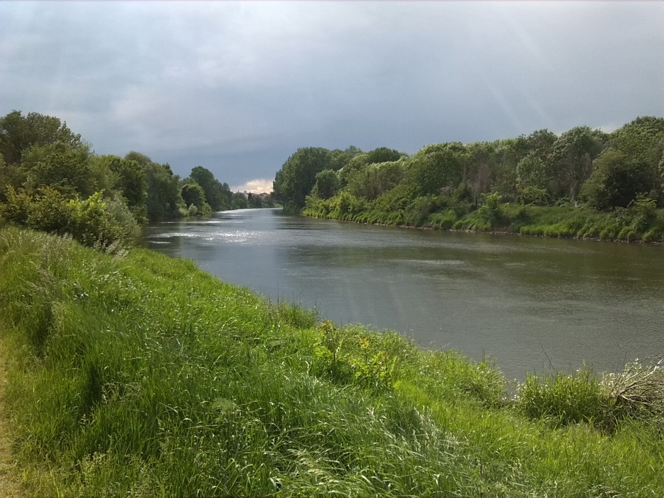 75a-Saaleaue Zwischen Nienburg & Bernburg Blick Nach Südwesten In Richting Bernburg Dröbel & Dröbelschen Busch Saaleaufwärts (2)