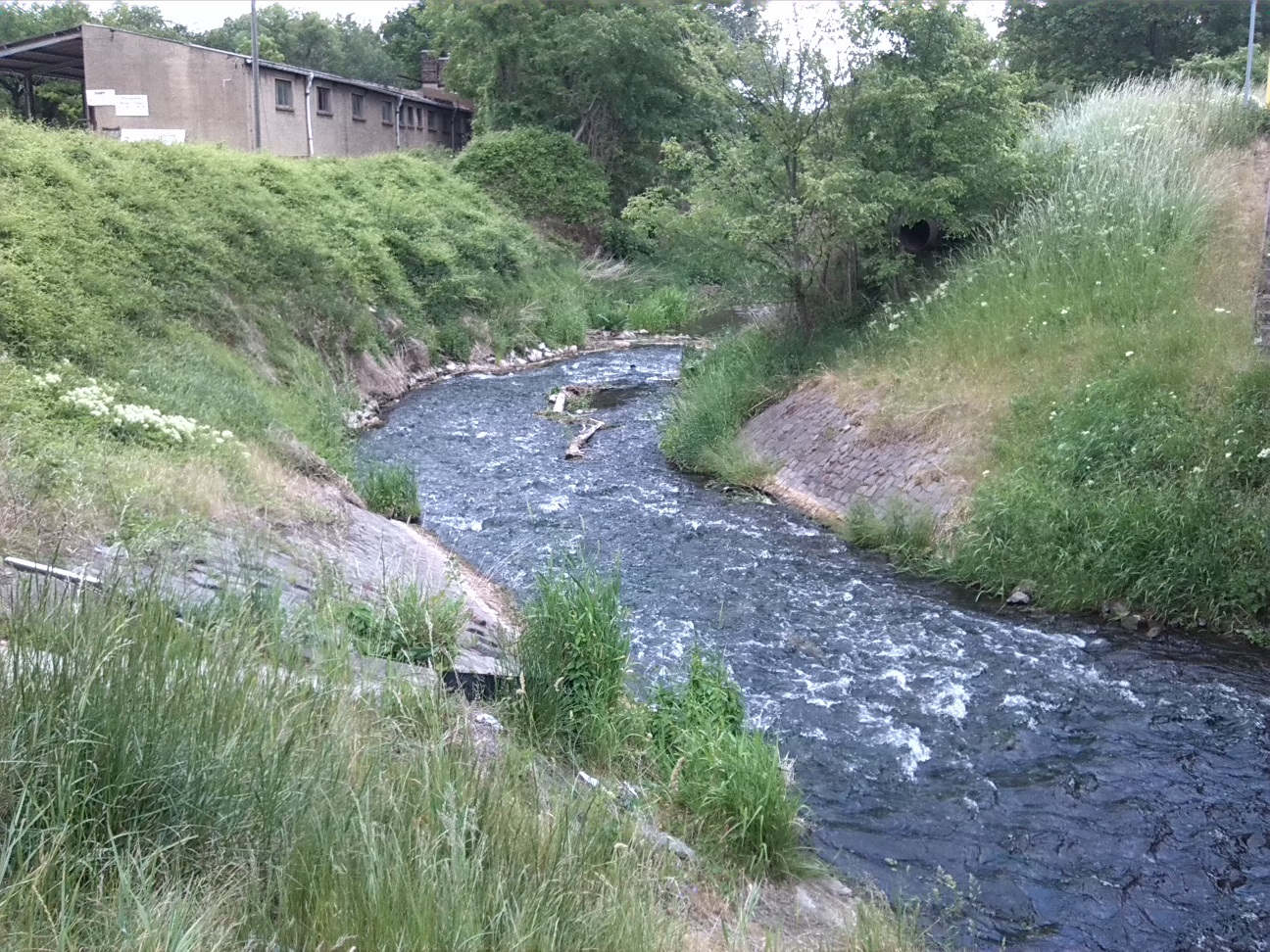 76a-Bernburg Brücke Köthensche Straße B185 Blick Fuhn Abwärts Nach Nordosten In Richtung Mündung IN Saale (1)