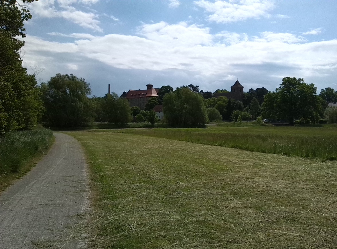 8a-Stassfurt-Bodeaue zwischen Stassfurt & Hohenerxleben Blick Nach Hohenerxleben Nach Südosten (1)