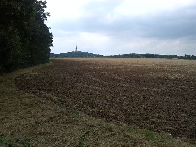 10a-Gemeinde Petersberg Bergholz Blick Auf Große Saubucht & Petersberg Nach Nordwesten (2)