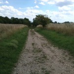 10a-Halle Granauer Berg Blick Hohlweg Nach Südosten In Richtung Granau (1)