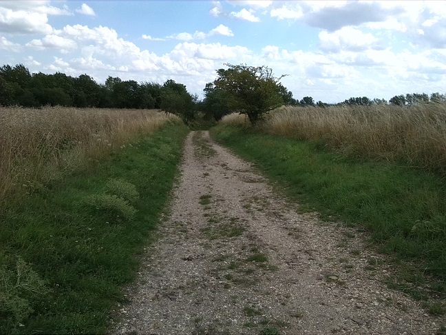 10a-Halle Granauer Berg Blick Hohlweg Nach Südosten In Richtung Granau (1)