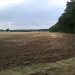 11a-Gemeinde Petersberg Bergholz Blick Auf Große Saubucht Nach Norden (2)