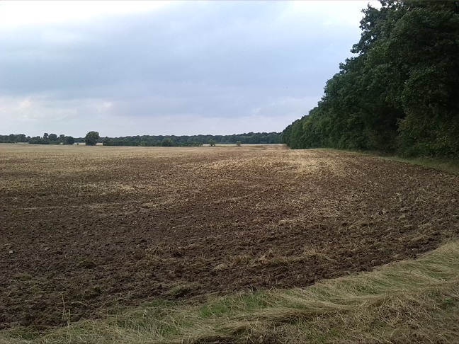 11a-Gemeinde Petersberg Bergholz Blick Auf Große Saubucht Nach Norden (2)