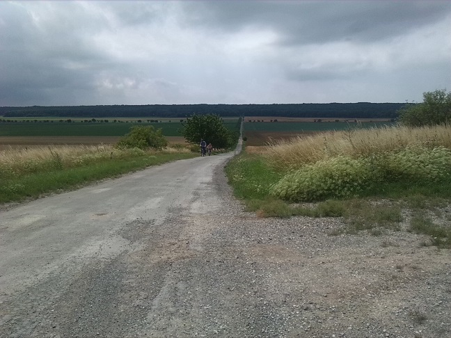 11a-Höhenzug Südlich Hakeborn Blick Zum Hakel Nach Süden (1)