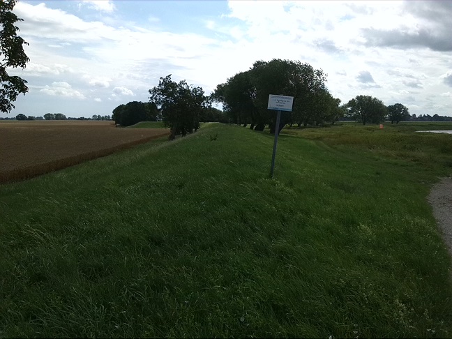 13a-Calbe Saaledeich Östlich Von Calbe Ost Blick Nach Südosten (1)