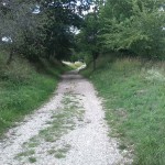 13a-Halle Granauer Berg Blick Hohlweg Nach Nordwesten In Richtung Lieskau (1)