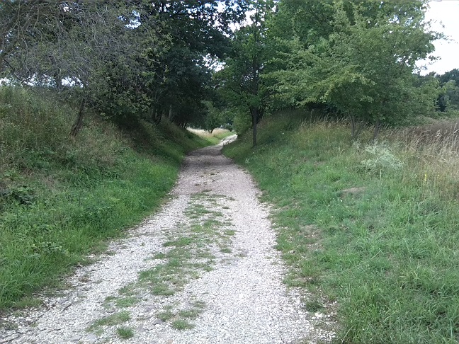 13a-Halle Granauer Berg Blick Hohlweg Nach Nordwesten In Richtung Lieskau (1)