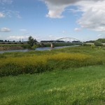 14a-Calbe Saaledeich Östlich Von Calbe Ost Blick Nach Nordwesten Saaleaufwärts (2)