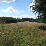 15a-Halle Granauer Berg Blick Zum Westteil Granauer Berg & Nordwesten Zum Lintbusch (1)