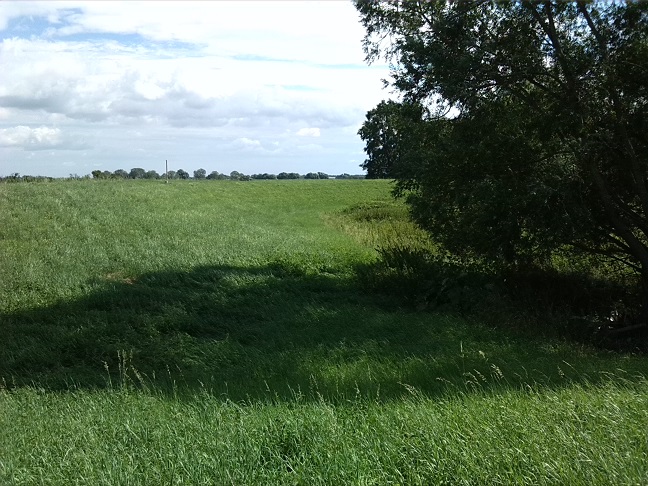17a-Calbe Saaledeich Östlich Von Calbe Ost Blick Nach Osten (1)