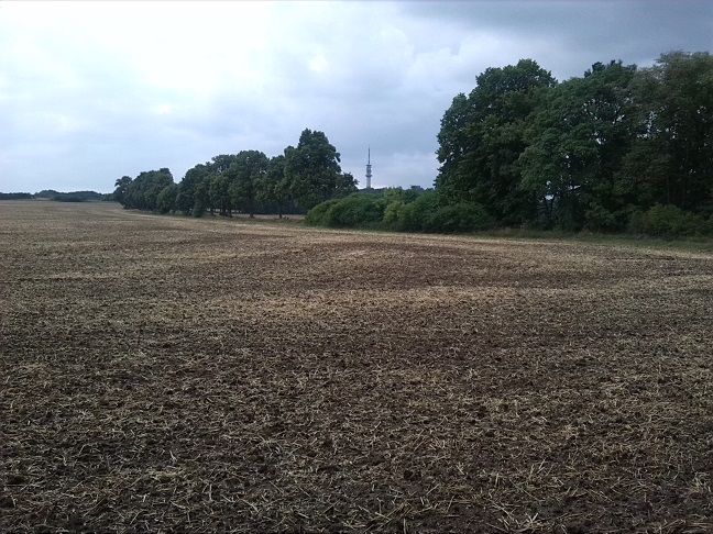 17a-Gemeinde Petersberg Bergholz Blick Auf Große Saubucht Nach Südwesten(2)