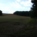 17a-Halle Dölauer Heide Blick Von Ecke Granauer Weg & Bergmannsstieg Nach Westen Zu Wetteil Granauer Berg & Lintbusch (2)