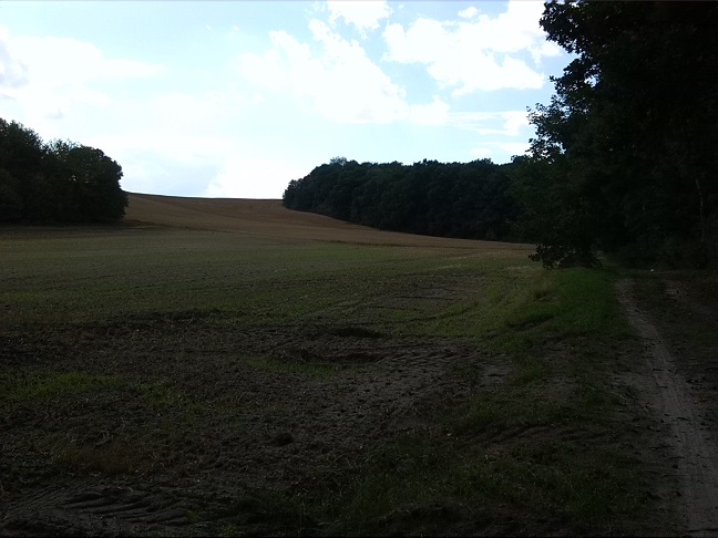 17a-Halle Dölauer Heide Blick Von Ecke Granauer Weg & Bergmannsstieg Nach Westen Zu Wetteil Granauer Berg & Lintbusch (2)