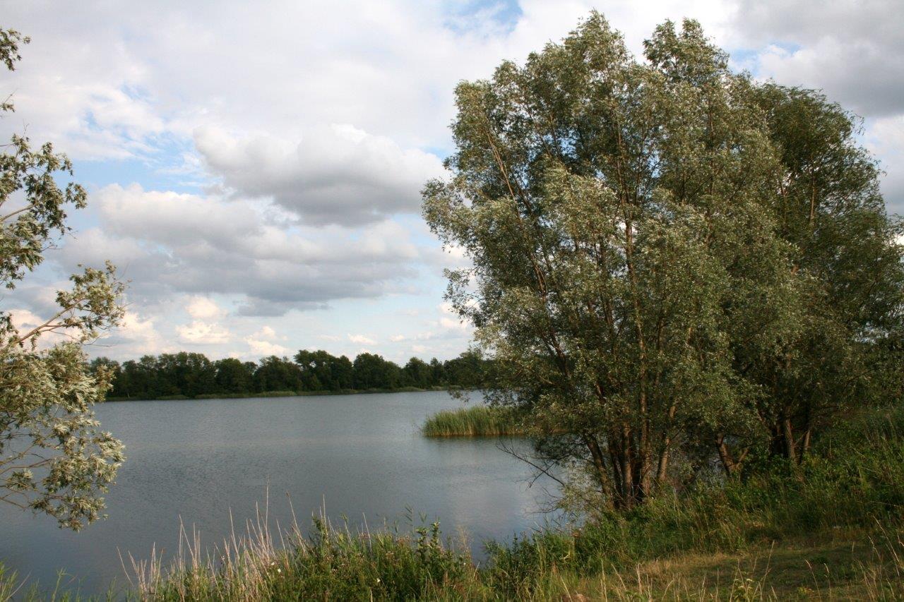18-Hufeisensee Westufer Blick Nach Südosten Zu Innenkippe