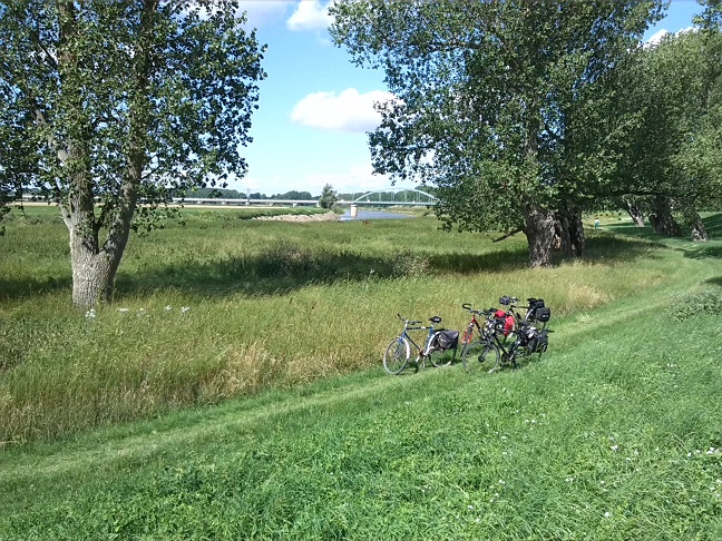 18a-Calbe Saaledeich Östlich Von Calbe Ost Blick Saaleaufwärts Nach Westen (2)