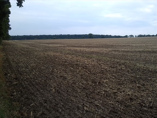18a-Gemeinde Petersberg Bergholz Blick Auf Große Saubucht Nach Süden (2)
