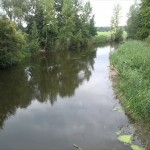 19a-Südlich Von Unseburg Blick Von Brücke Bodeaufwärts Nach Norden (2)