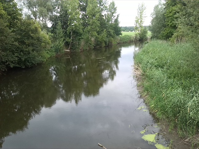 19a-Südlich Von Unseburg Blick Von Brücke Bodeaufwärts Nach Norden (2)