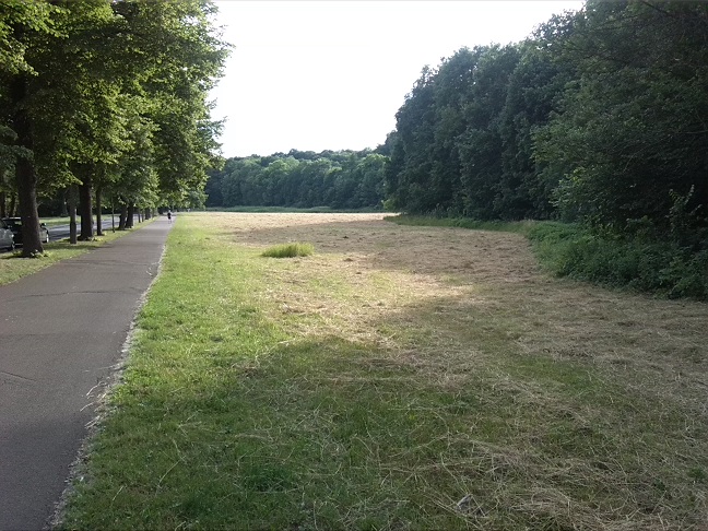 1a-Blick Von Osten Nach Westen (1)