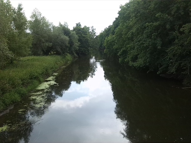 20a-Südlich Von Unseburg Blick Von Brücke Bodeabwärts Nach Südosten (1)